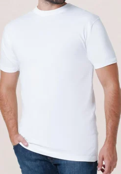 ALAN RED T-shirts Virginia (2-pack), O-hals, wit en antraciet grijs