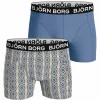 Bjorn Borg Bamboo Cotton Blend boxers, heren boxers normale lengte (2-pack), multicolor