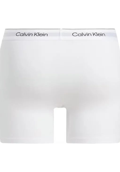 Calvin Klein Icon Cotton Stretch Boxer briefs (3-pack), heren boxers extra lang, wit
