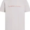 Calvin Klein Raised Ombre Embroidery T-shirt, heren T-shirt korte mouw O-hals, grijs-beige