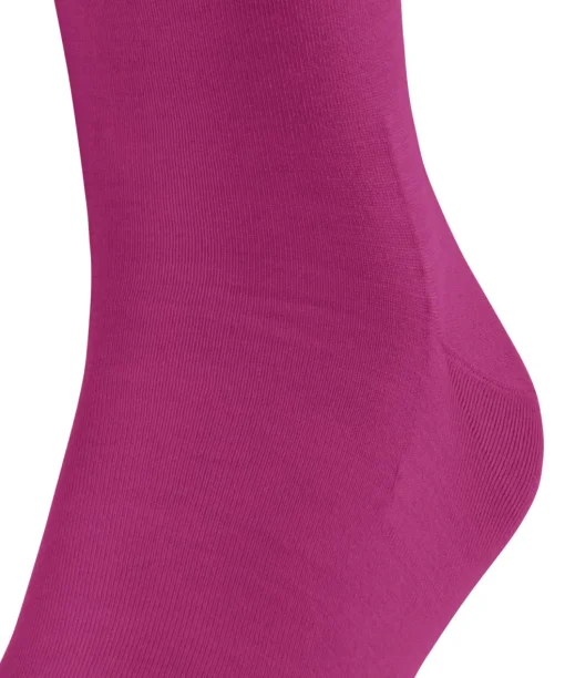 FALKE ClimaWool heren kniekousen, roze (berry)
