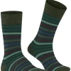 FALKE Tinted Stripe herensokken, groen (wald)
