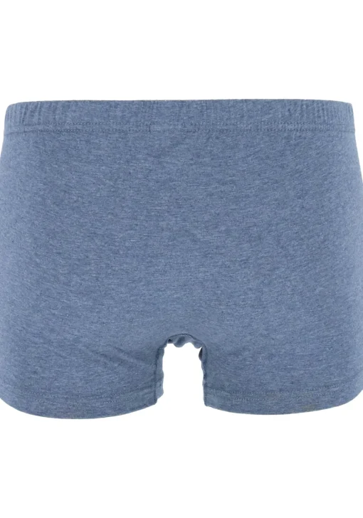 Gotzburg heren boxers (3-pack), normale lengte, blauw en grijs
