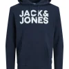 JACK & JONES Corp logo sweat hood regular fit, heren hoodie katoenmengsel met capuchon, blauw grote print