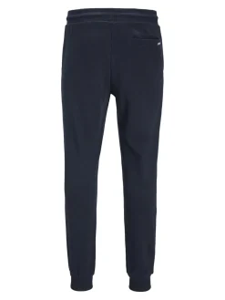 JACK & JONES Gordon Shark Sweat Pants regular fit, heren joggingbroek, blauw