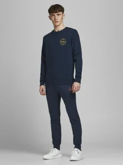 JACK & JONES Gordon Shark Sweat Pants regular fit, heren joggingbroek, blauw
