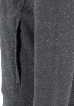 Lacoste heren sweatvest, met rits, antraciet