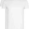 RJ Bodywear Everyday Amsterdam T-shirts (2-pack), heren T-shirts O-hals breed, wit