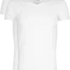 RJ Bodywear Everyday Den Bosch T-shirts (2-pack), heren stretch T-shirts V-hals, wit
