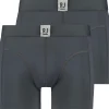 RJ Bodywear Pure Color Jort boxer (2-pack), heren boxer lang, grijs