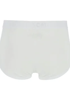 TEN CATE Basics men classic slip met gulp (2-pack), heren heupslips, wit