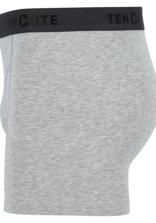 TEN CATE Basics men shorts (2-pack), heren boxers normale lengte, grijs melange