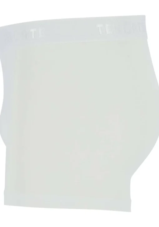 TEN CATE Basics men shorty (2-pack), heren boxers kort, wit