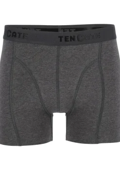 TEN CATE Basics men shorts (2-pack), heren boxers normale lengte, antraciet grijs melange