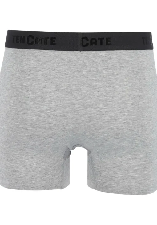 TEN CATE Basics men shorts (2-pack), heren boxers normale lengte, grijs melange