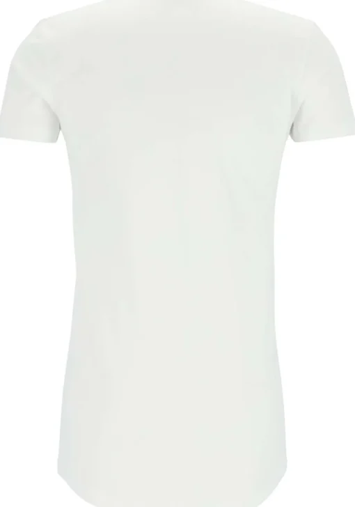 TEN CATE Basics men T-shirt (2-pack), heren T-shirts V-hals, wit