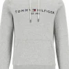 Tommy Hilfiger Core Tommy logo hoody, regular fit heren sweathoodie, grijs melange