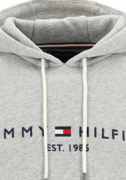 Tommy Hilfiger Core Tommy logo hoody, regular fit heren sweathoodie, grijs melange