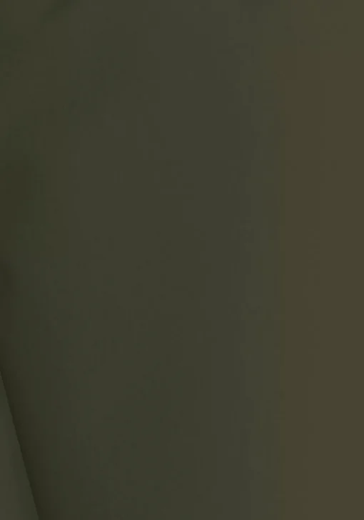 Tommy Hilfiger Medium Drawstring swimshort, heren zwembroek, army groen met blauwe band