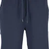 Tommy Hilfiger Nature Tech track pant, heren joggingbroek kort, normale dikte, blauw